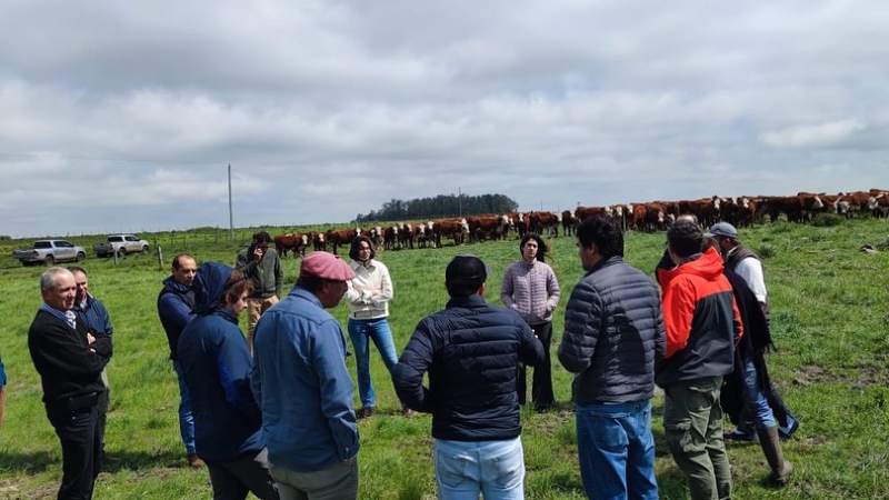 GPR Litoral Norte I